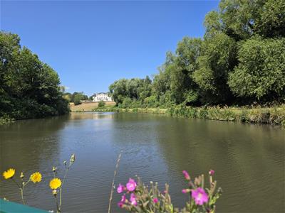 Picture 25